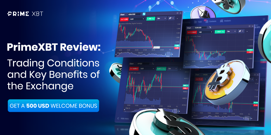 PrimeXBT Forex Your Gateway to Successful Trading